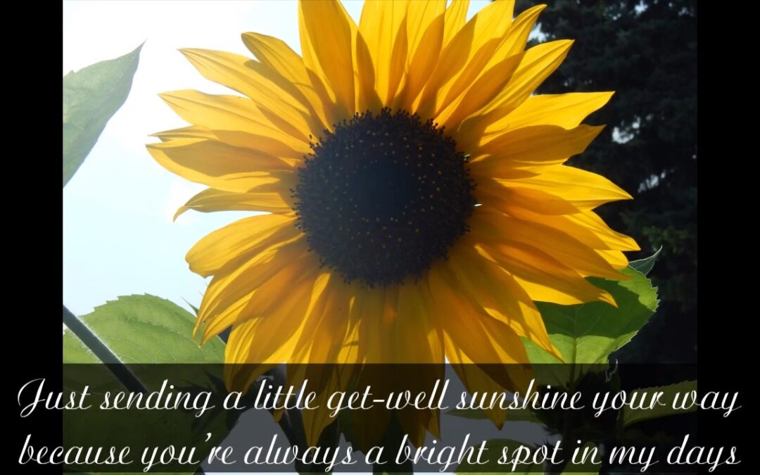 Get Well Soon – Flowers